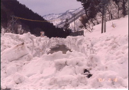 人工雪の壁